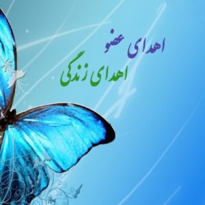 نوجوان ۱۷ ساله بوشهری ناجی بیماران شد