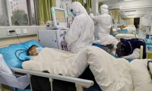 ۷ نفر به لیست مبتلایان ویروس کرونا در بوشهر افزوده شد/ مبتلایان در کشور از ۲۳ هزار نفر گذشت