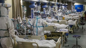 بهبودی قطعی ۲۲۹ بیمار مبتلا به کرونا در استان بوشهر/تأیید ۱۸مبتلای جدید