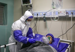 بهبودی قطعی ۱۴۶ بیمار مبتلا به کرونا در استان بوشهر/تأیید ۱۰ مبتلای جدید