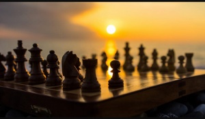 مسابقات المپیاد شطرنج کارمندان سازمان تامین اجتماعی به میزبانی بوشهر آغاز شد