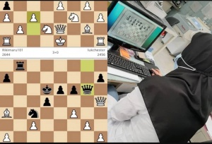 قهرمانی تهران در مسابقات مقدماتی المپیاد شطرنج بانوان سازمان تامین اجتماعی