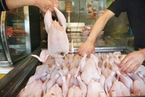 پرش مرغ از نرخ مصوب در بوشهر