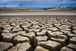 خشکسالی نگران کننده استان بوشهر